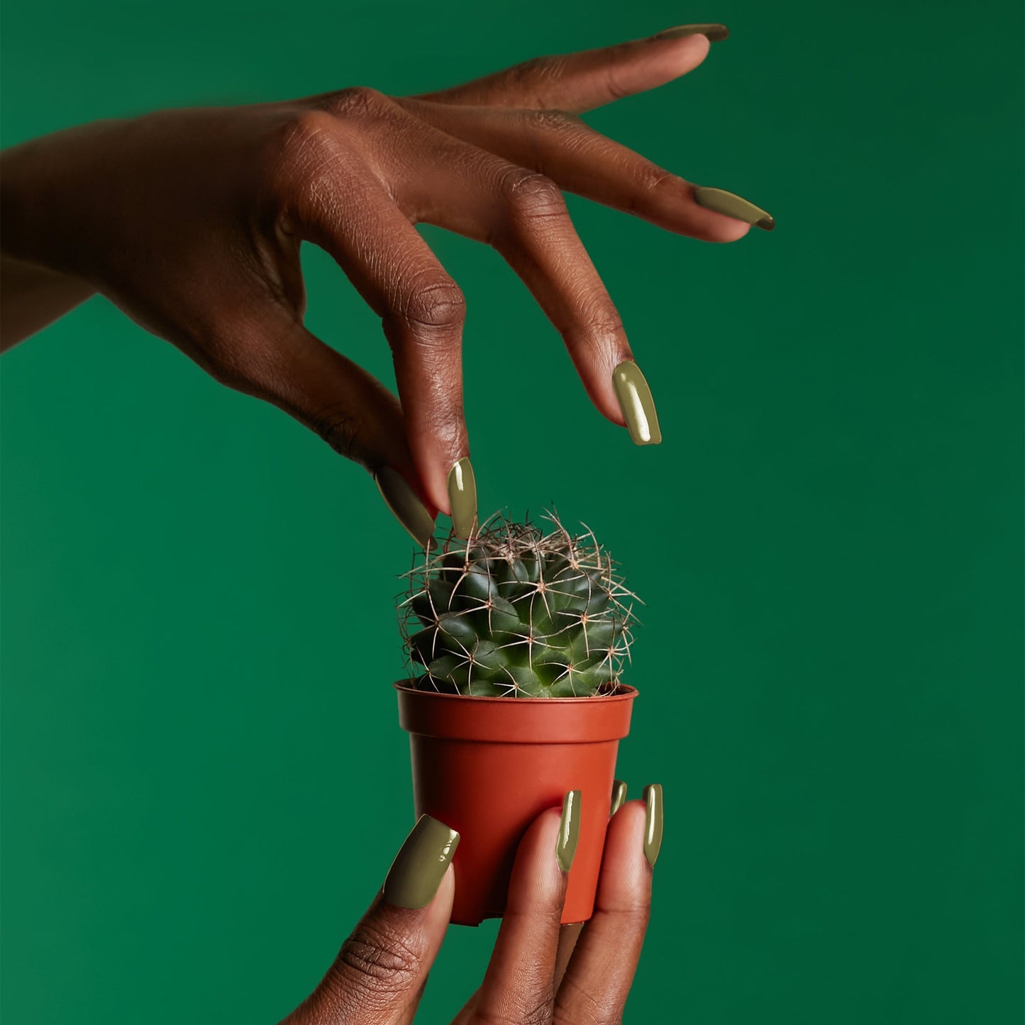 Mylee Oasis Gel Polish 10ml