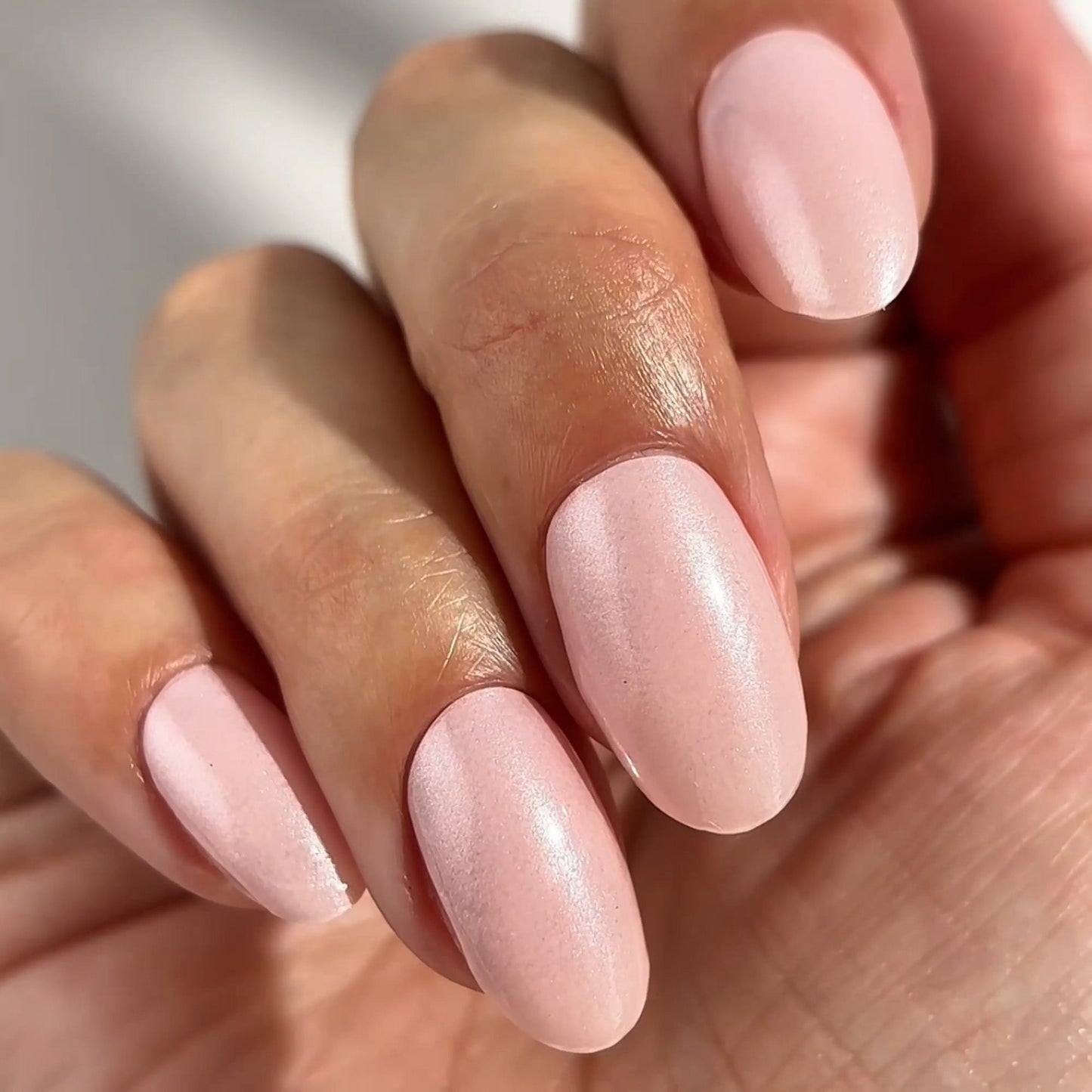 Mylee On Campus Gel Nail Wraps